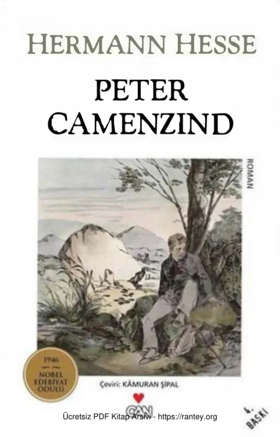 Peter Camenzind kapak görseli