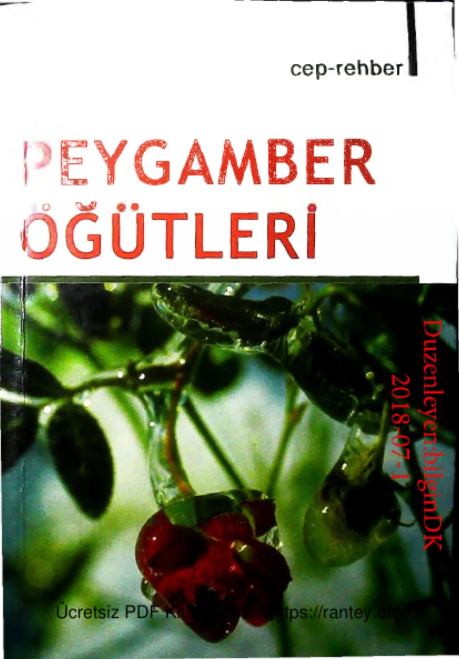 Peygamber Ogutleri kapak görseli