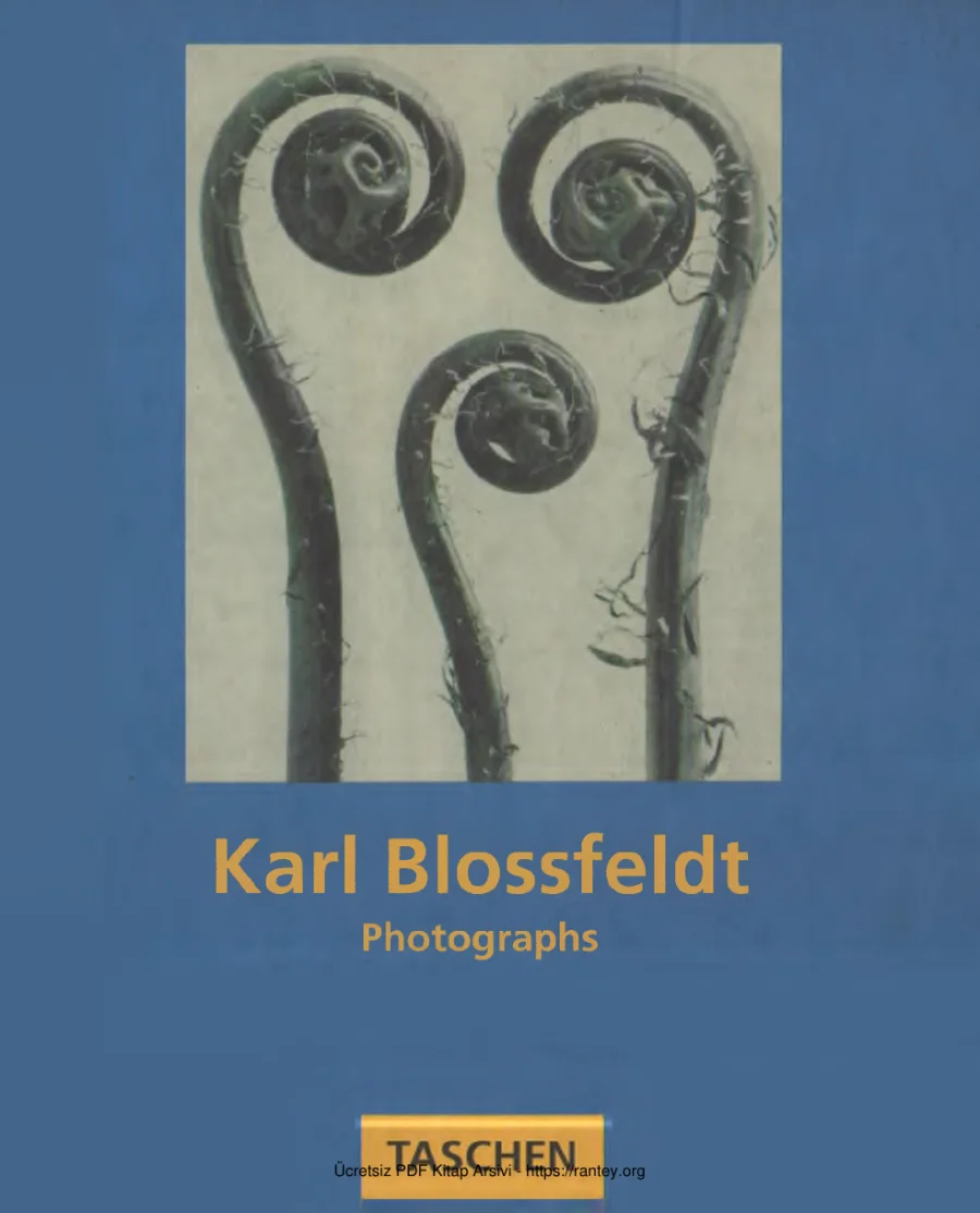 Photograps Taschen kapak görseli