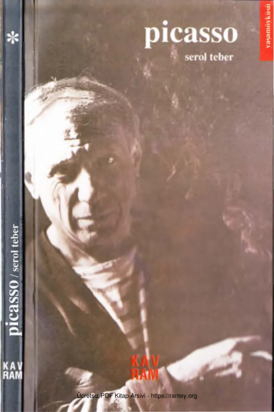 Picasso Kavram Yayınları kapak görseli
