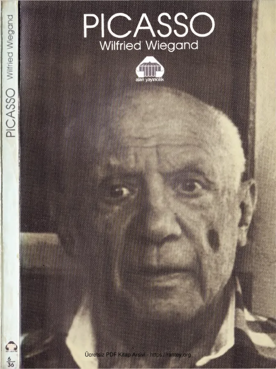 Pıcasso kapak görseli