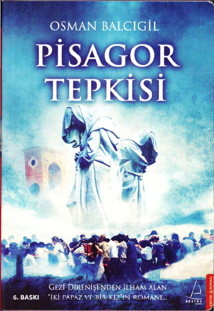 Pisagor Tepkisi kapak görseli