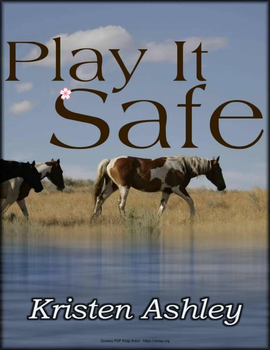 Play It Safe kapak görseli