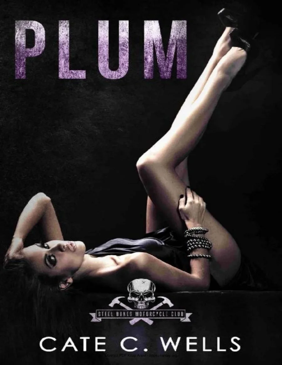 Plum kapak görseli