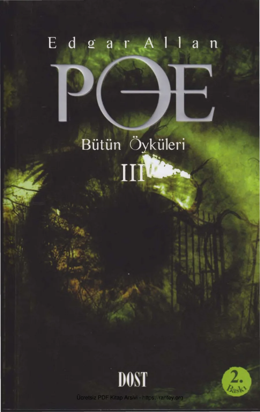 Poe Bütün Öyküleri III kapak görseli