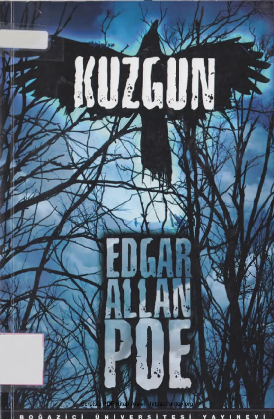 Poe Kuzgun kapak görseli