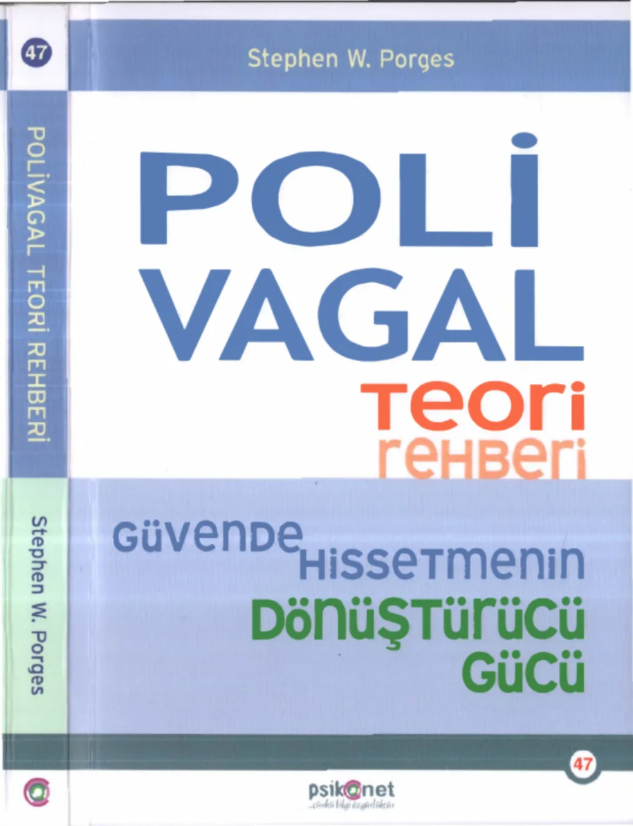 Poli Vagal Teori Rehberi kapak görseli