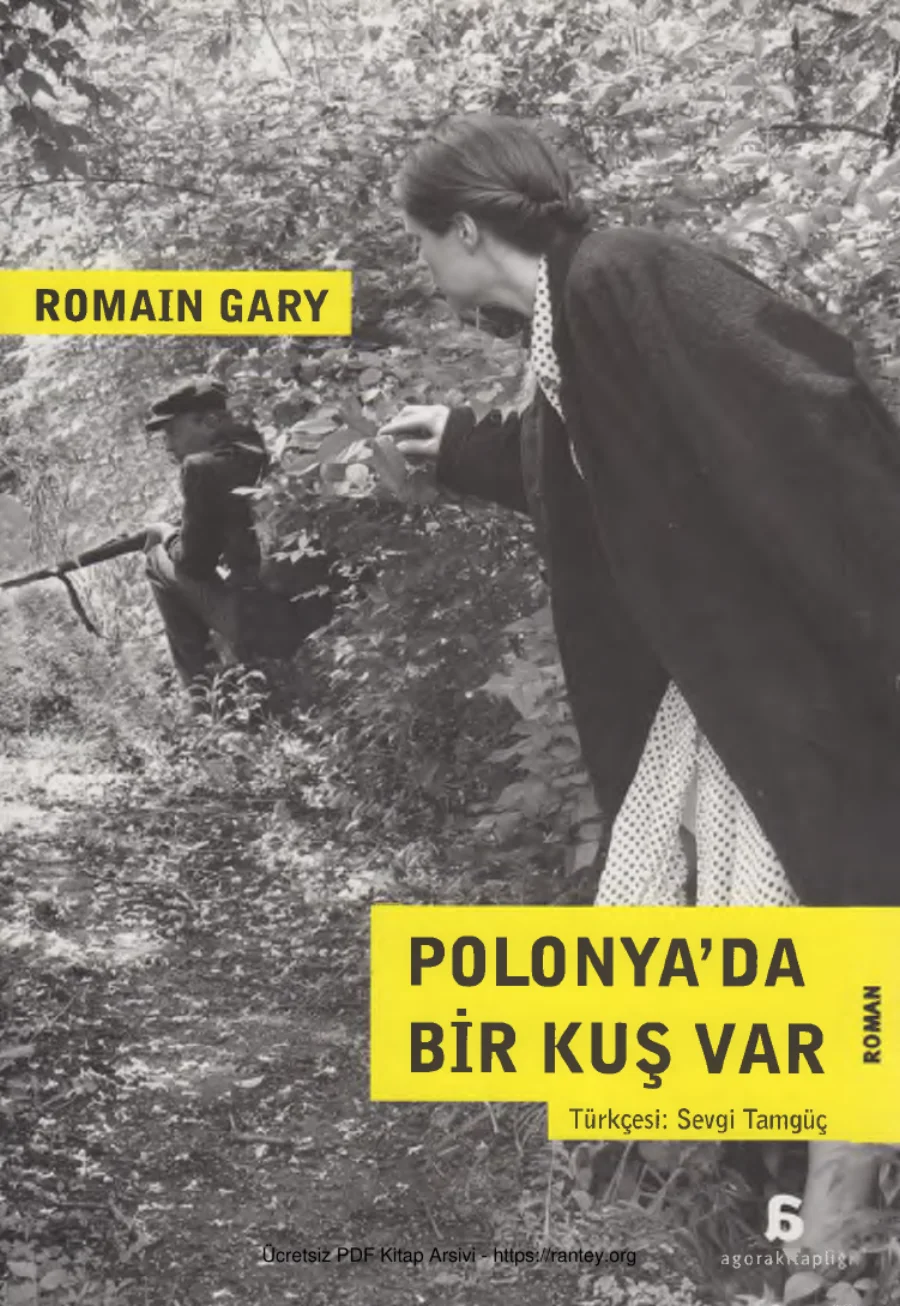 Polonyada Bir Kuş Var kapak görseli
