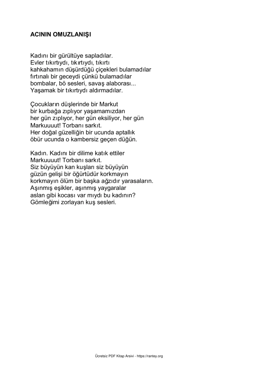 Portfolio kapak görseli