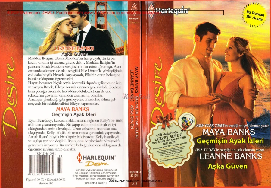 Pregnancy Passion 2 Geçmişin Ayak İzleri kapak görseli
