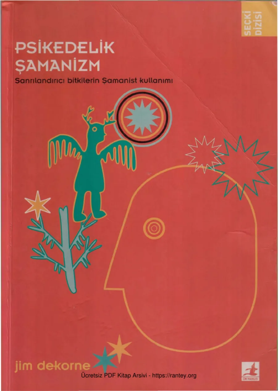 Psikedelik Şamanizm kapak görseli