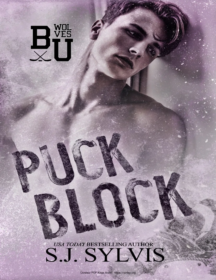Puck Block kapak görseli