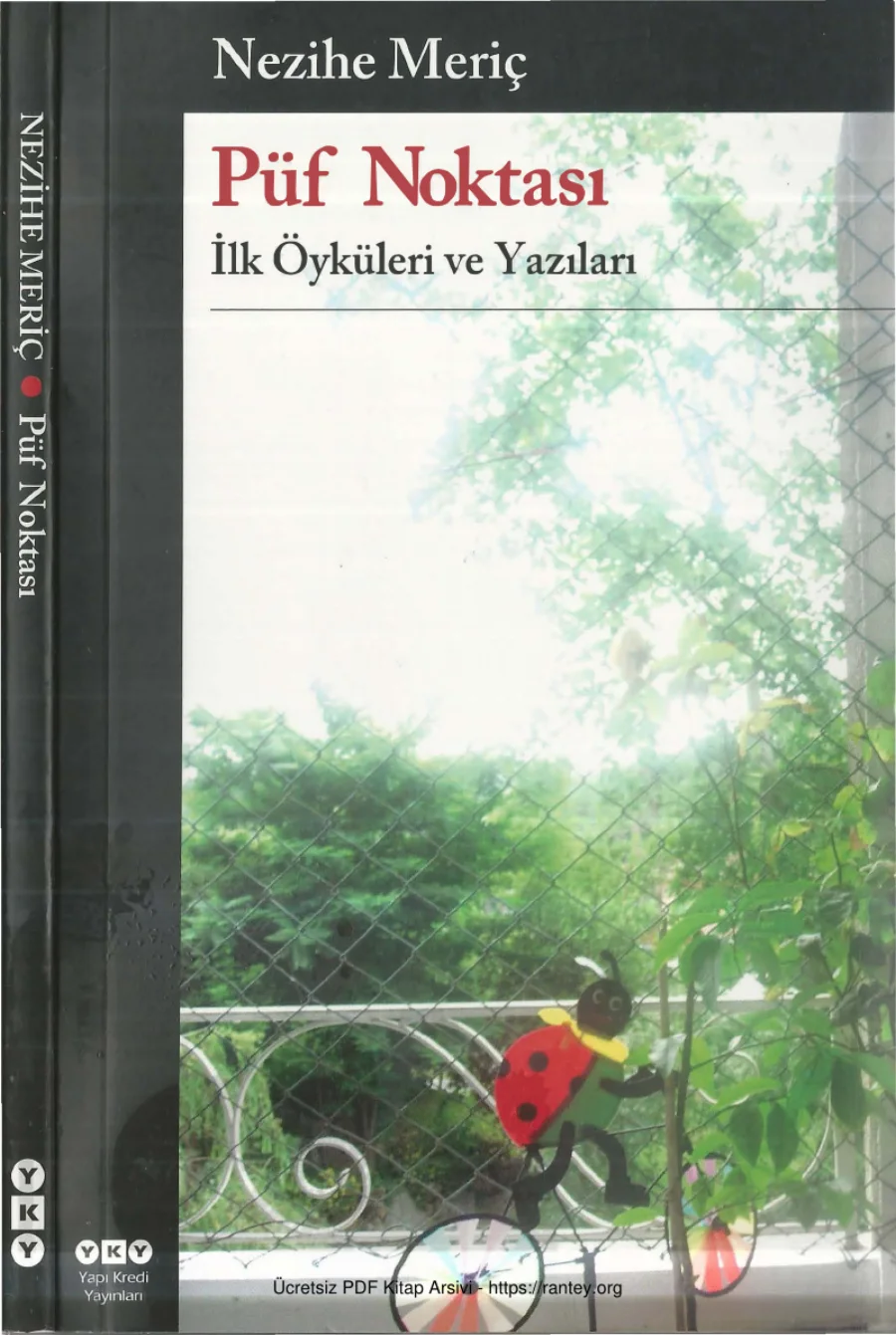 Püf Noktası kapak görseli
