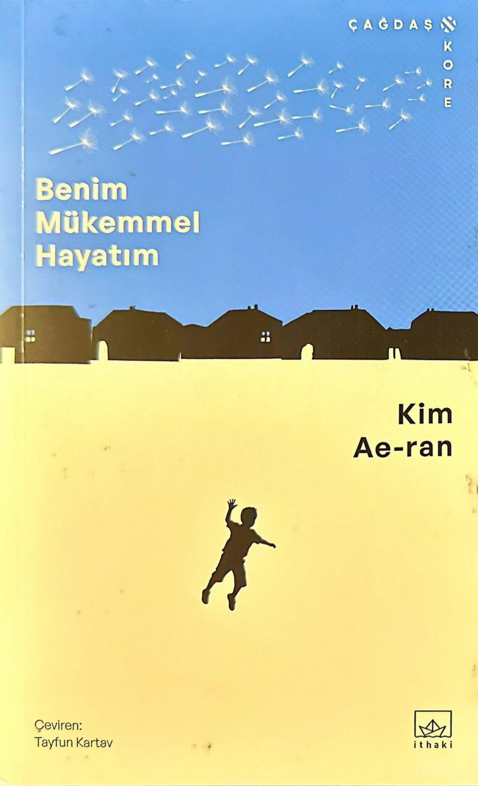 Benim Mükemmel Hayatım kapak görseli