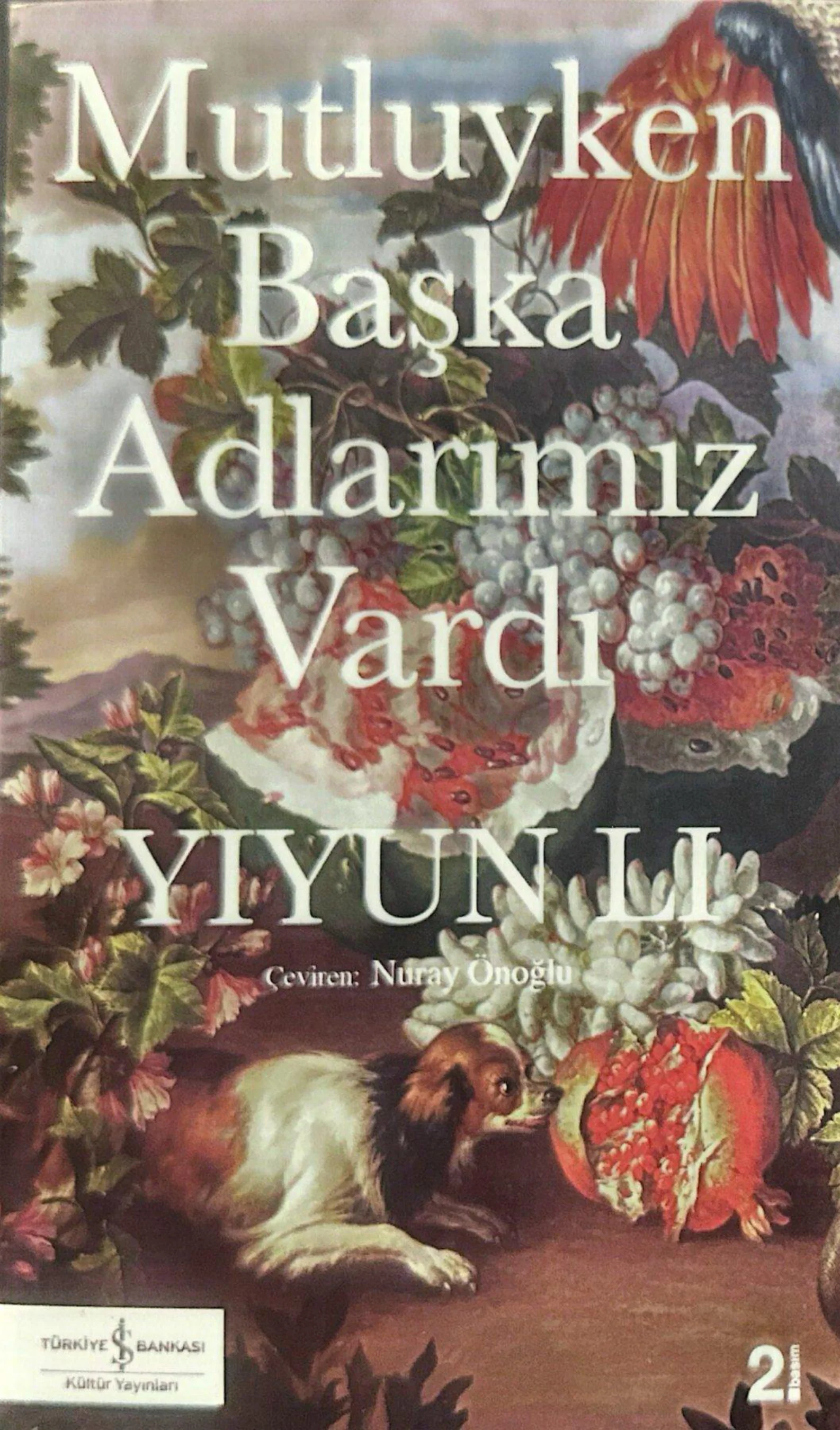 Mutluyken Başka Adlarımız Vardı kapak görseli