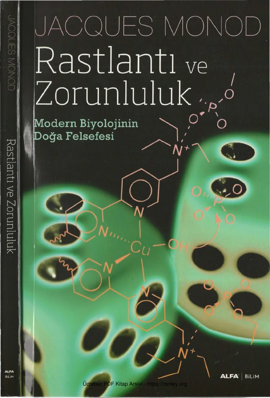 Raslantı ve Zorunluluk kapak görseli