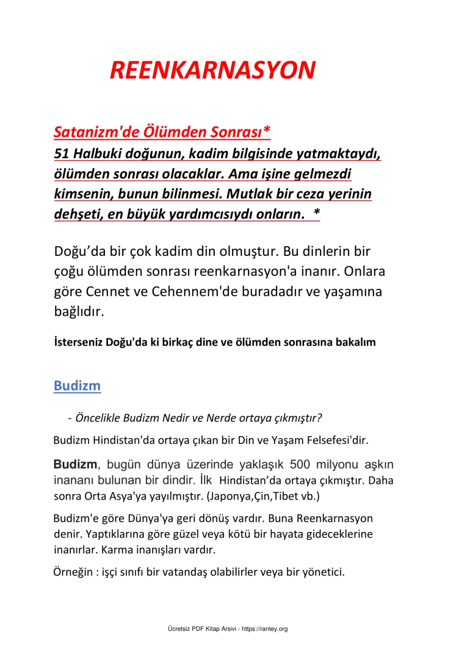 reenkarnasyon 1 1 1 kapak görseli