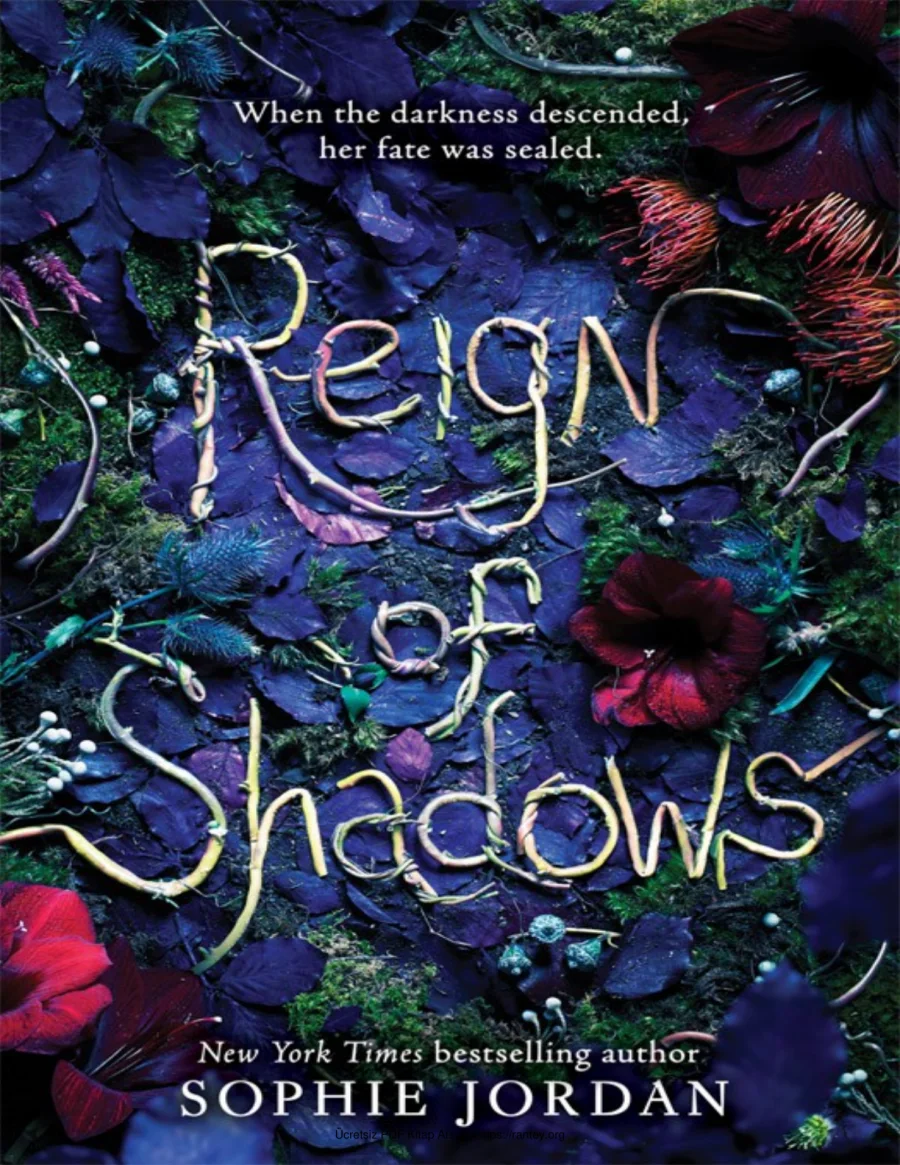 Reign of Shadows kapak görseli