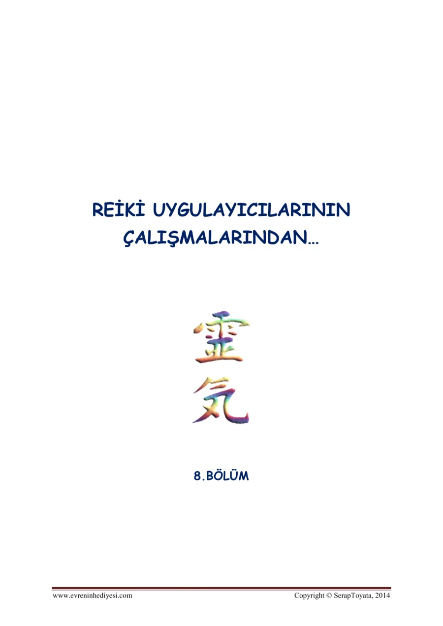 Reiki 8. Bölüm: Uygulayıcıların Çalışmaları kapak görseli