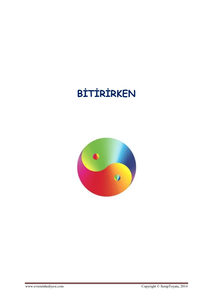 Reiki 9. Bölüm: Bitirirken kapak görseli