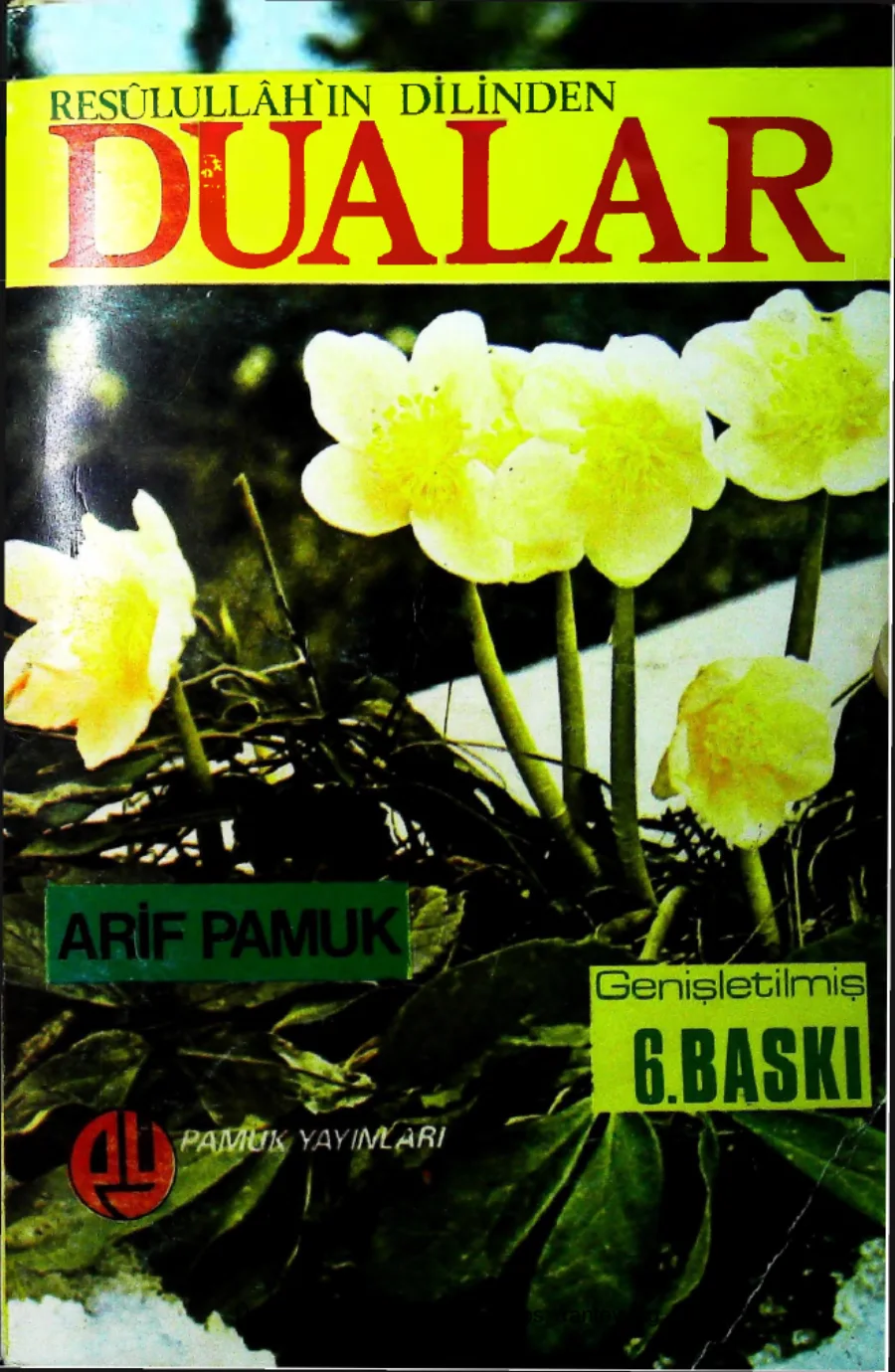 Resulullahin Dilinden Dualarin Esrari Hikmeti ve Fazileti kapak görseli
