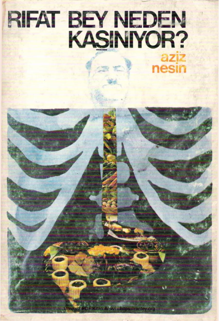 Rıfat Bey Neden Kaşınıyor kapak görseli