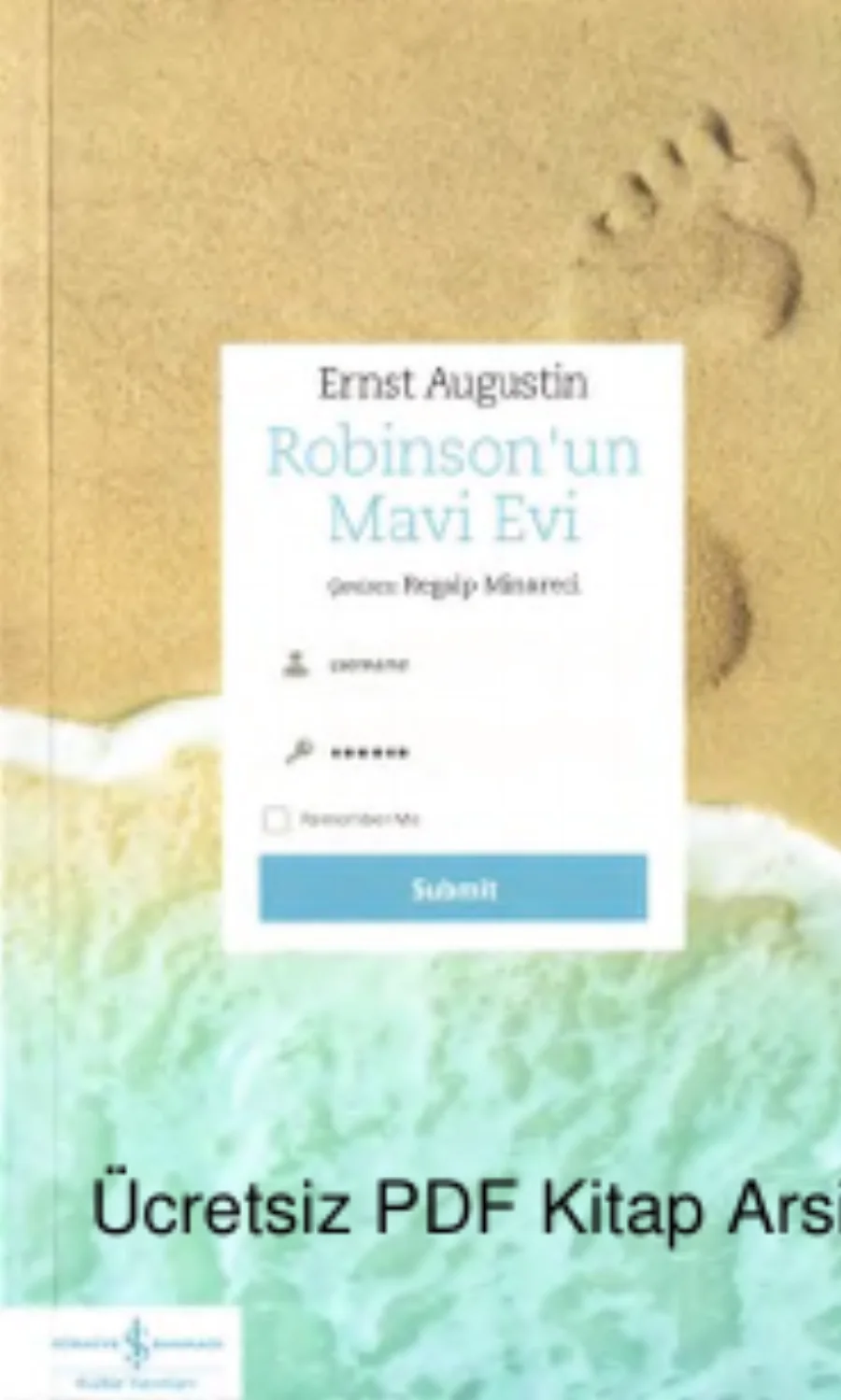 Robinsonun Mavi Evi kapak görseli