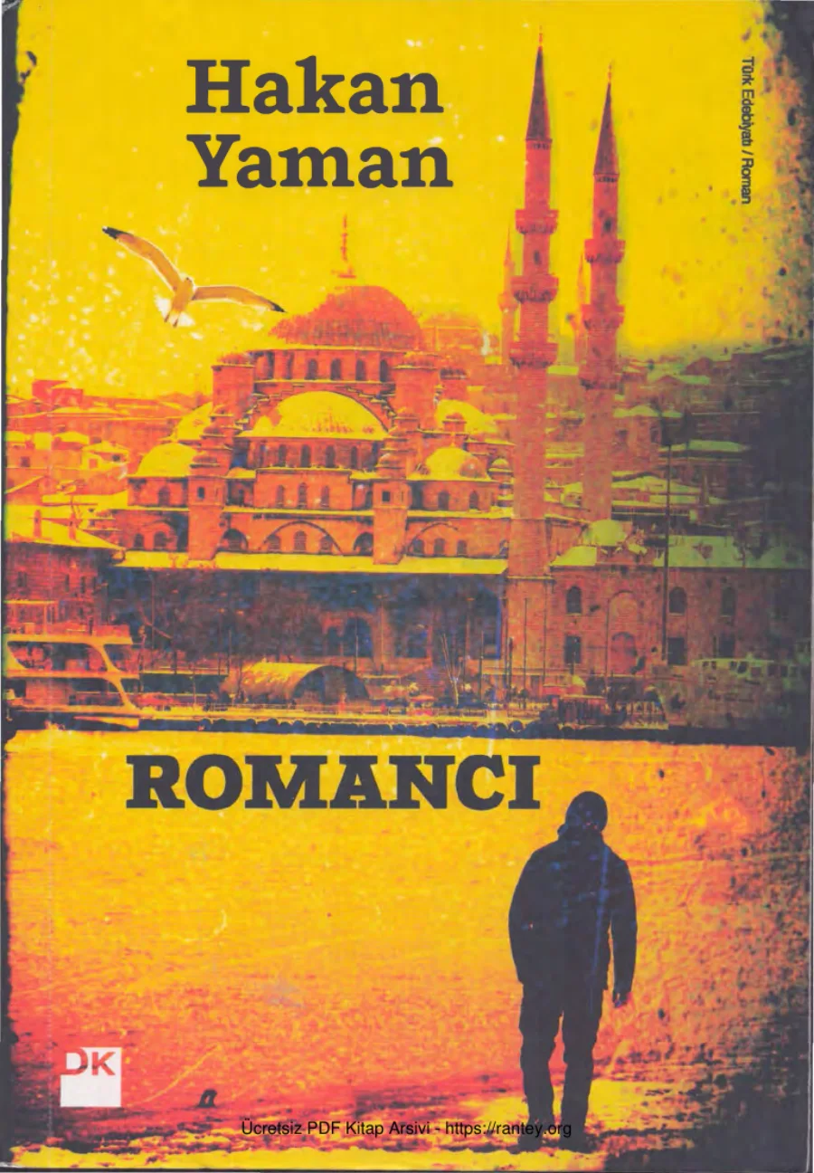 Romancı kapak görseli