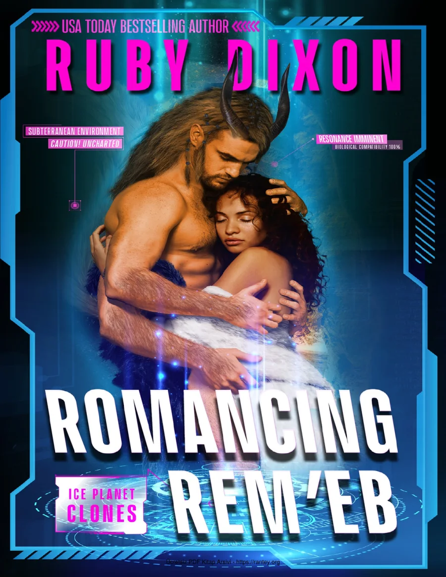Romancing Remeb kapak görseli
