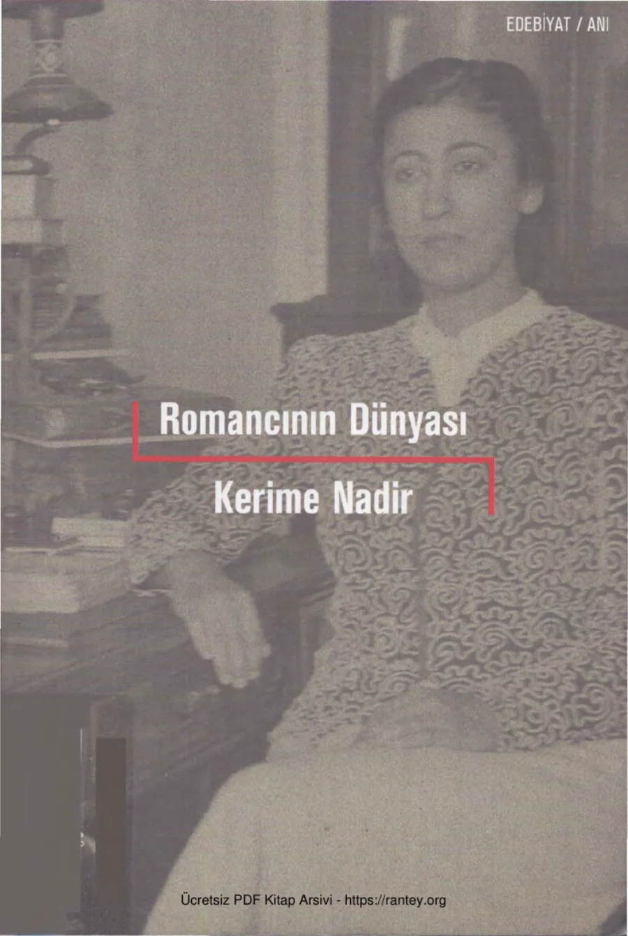 Romancının Dünyası kapak görseli