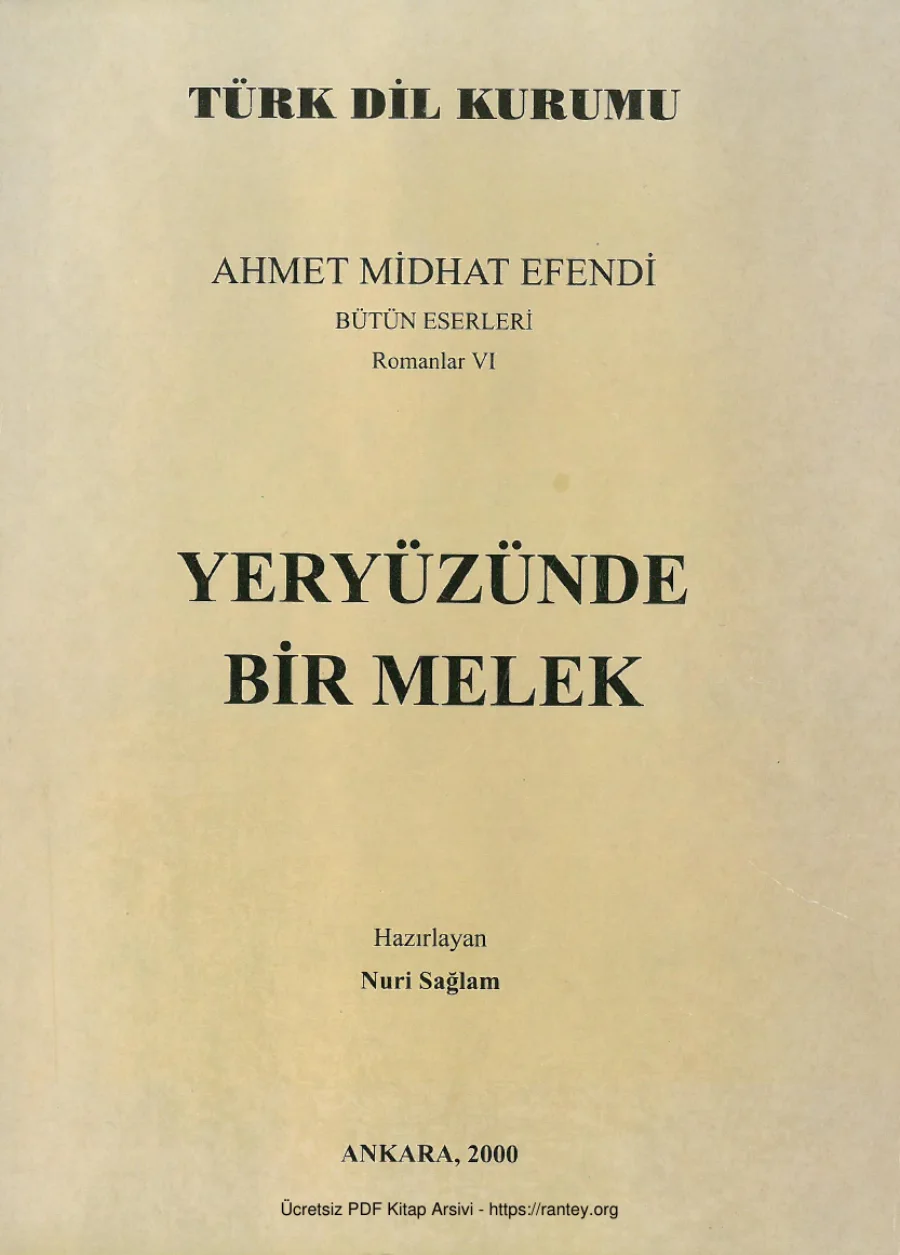 Romanlar 6: Yeryüzünde Bir Melek kapak görseli