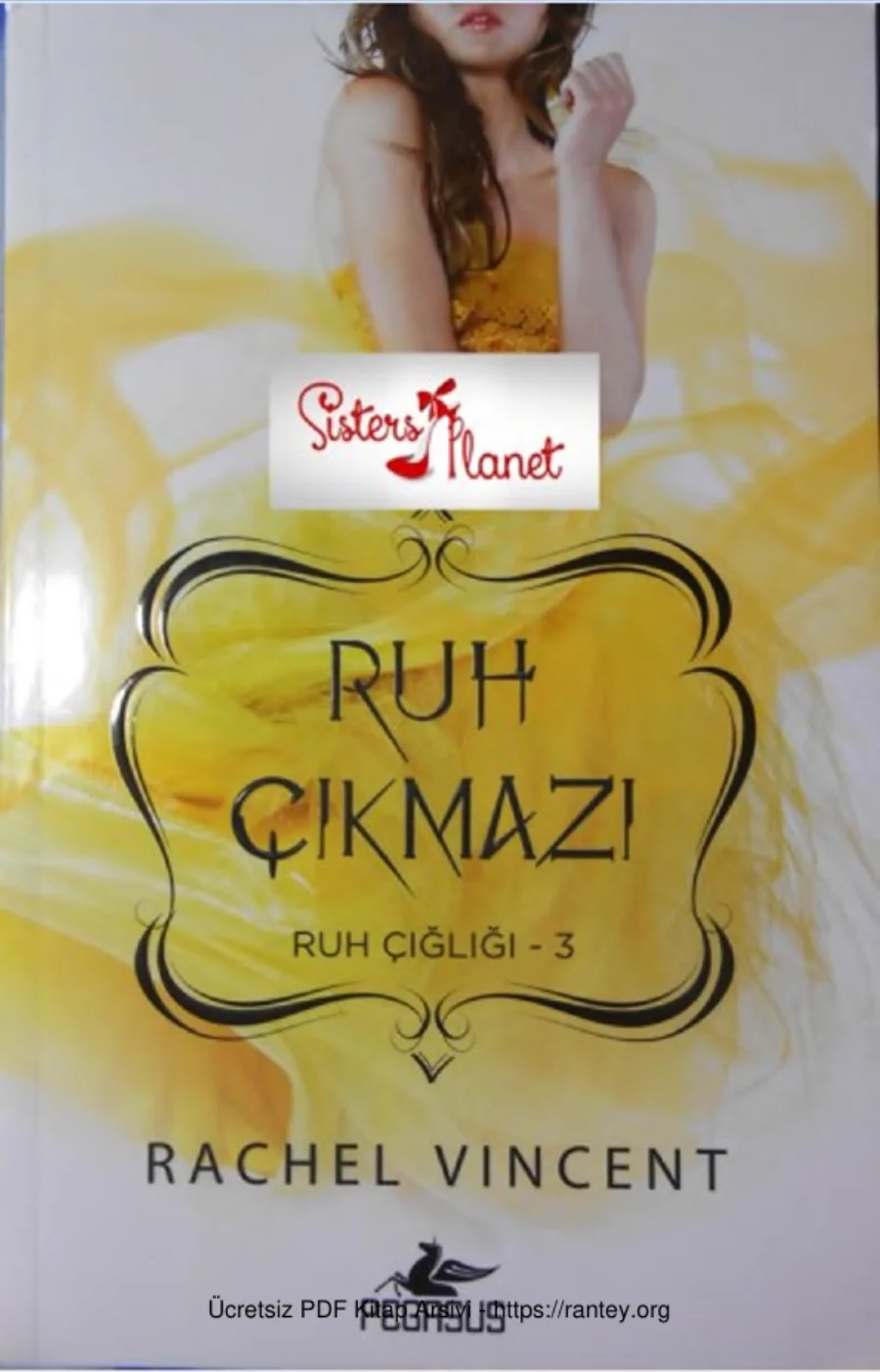 Ruh Çıkmazı Ruh Çığlı 3 kapak görseli