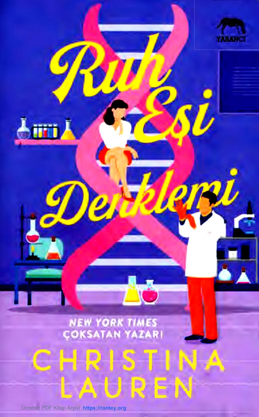 Ruh Eşi Denklemi kapak görseli