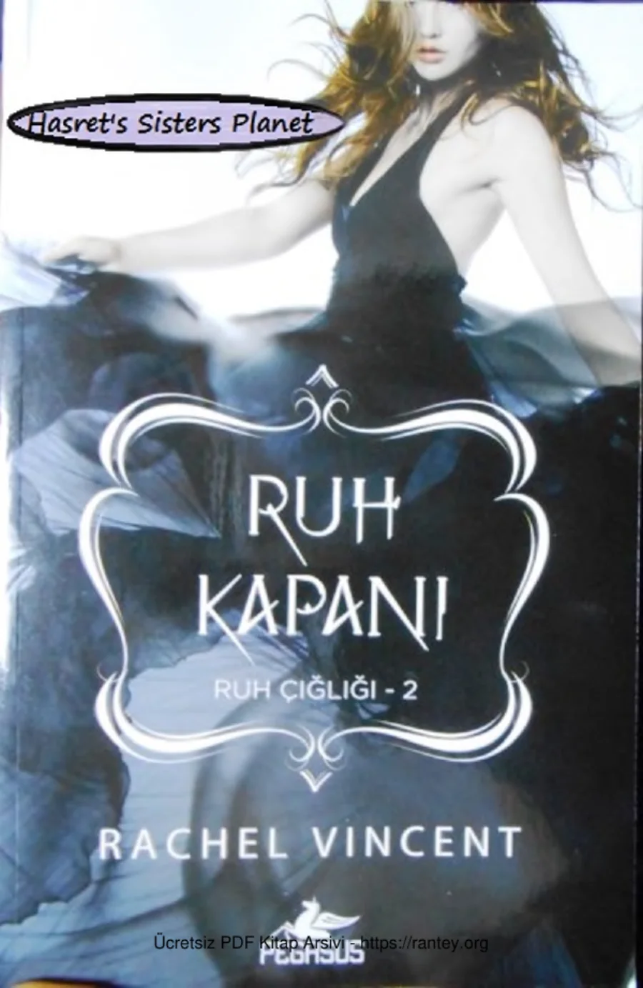 Ruh Kapanı Ruh Çığlığı 2 kapak görseli