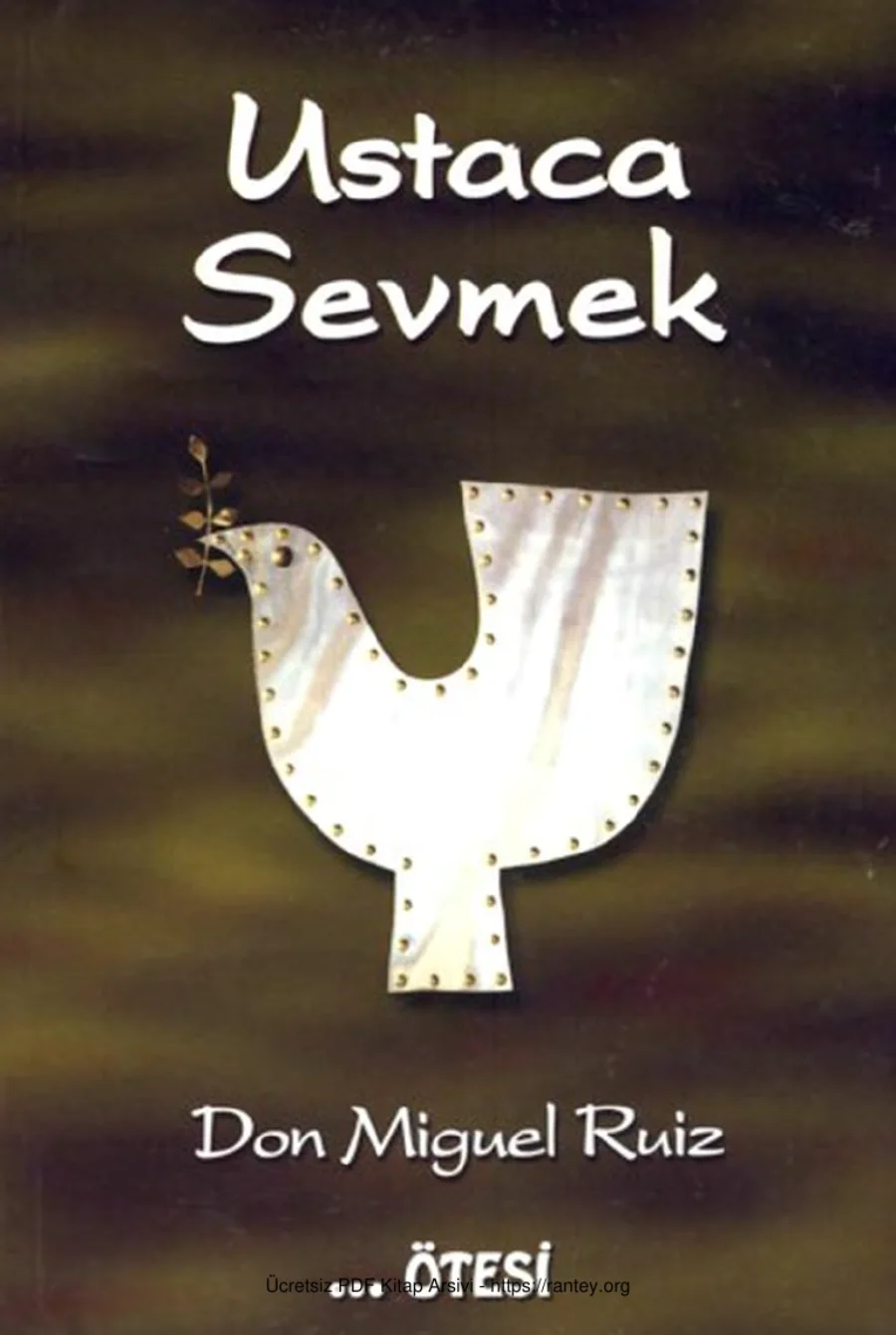 Ruiz Ustaca Sevmek kapak görseli