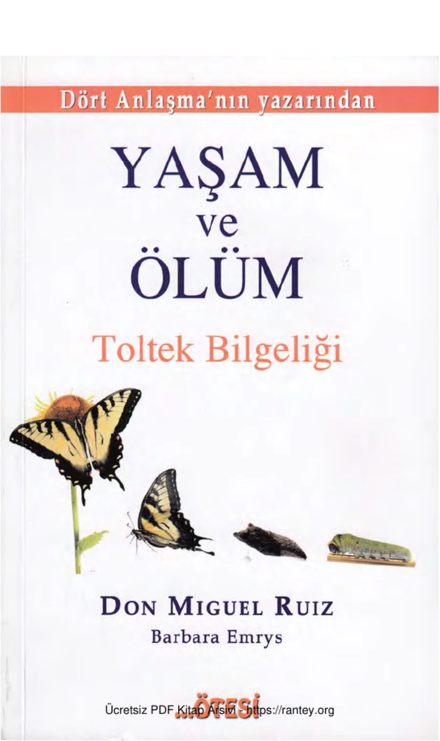 Ruiz Yaşam ve Ölüm kapak görseli