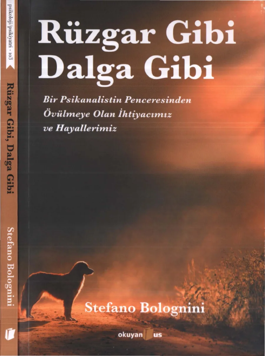 Rüzgar Gibi Dalga Gibi kapak görseli