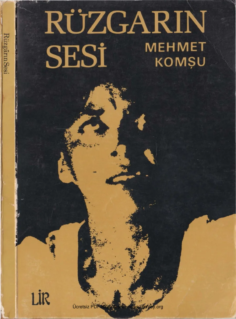 Rüzgarın Sesi kapak görseli