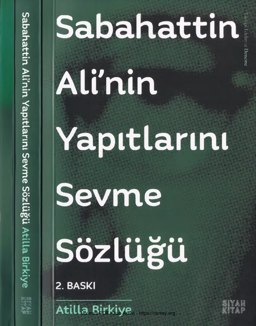 Sabahattin Alinin Yapıtlarını Sevme Sözlüğü Siyah Yayınları kapak görseli