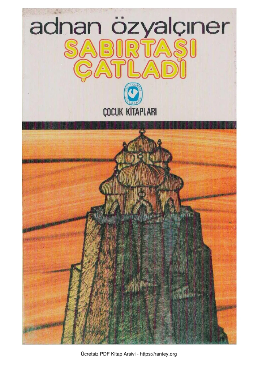 Sabır Taşı Çatladı kapak görseli