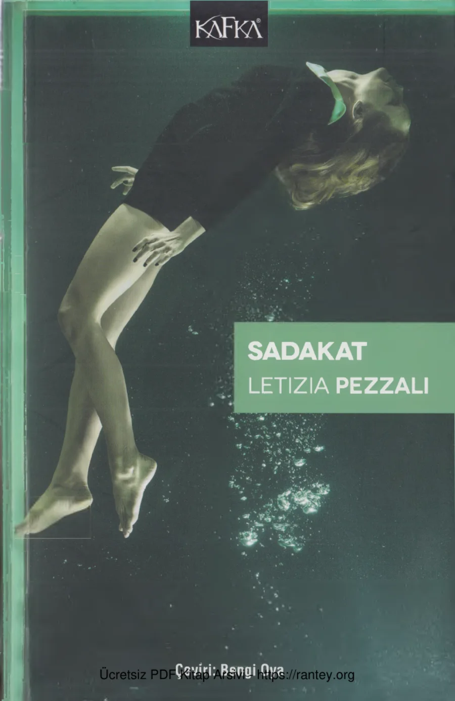 Sadakat kapak görseli