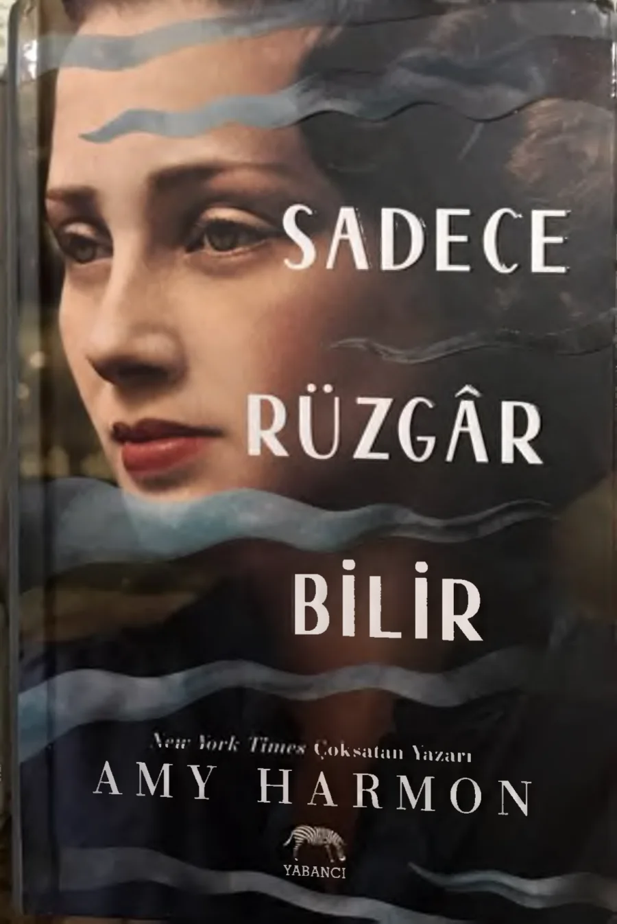 Sadece Rüzgâr Bilir kapak görseli