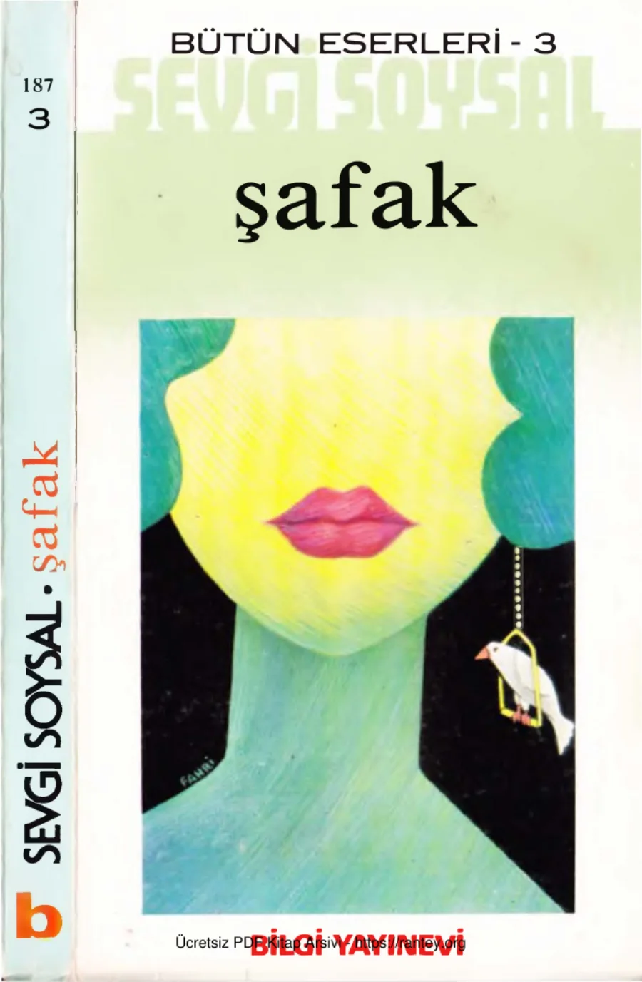 Şafak Bilgi Yayınevi kapak görseli