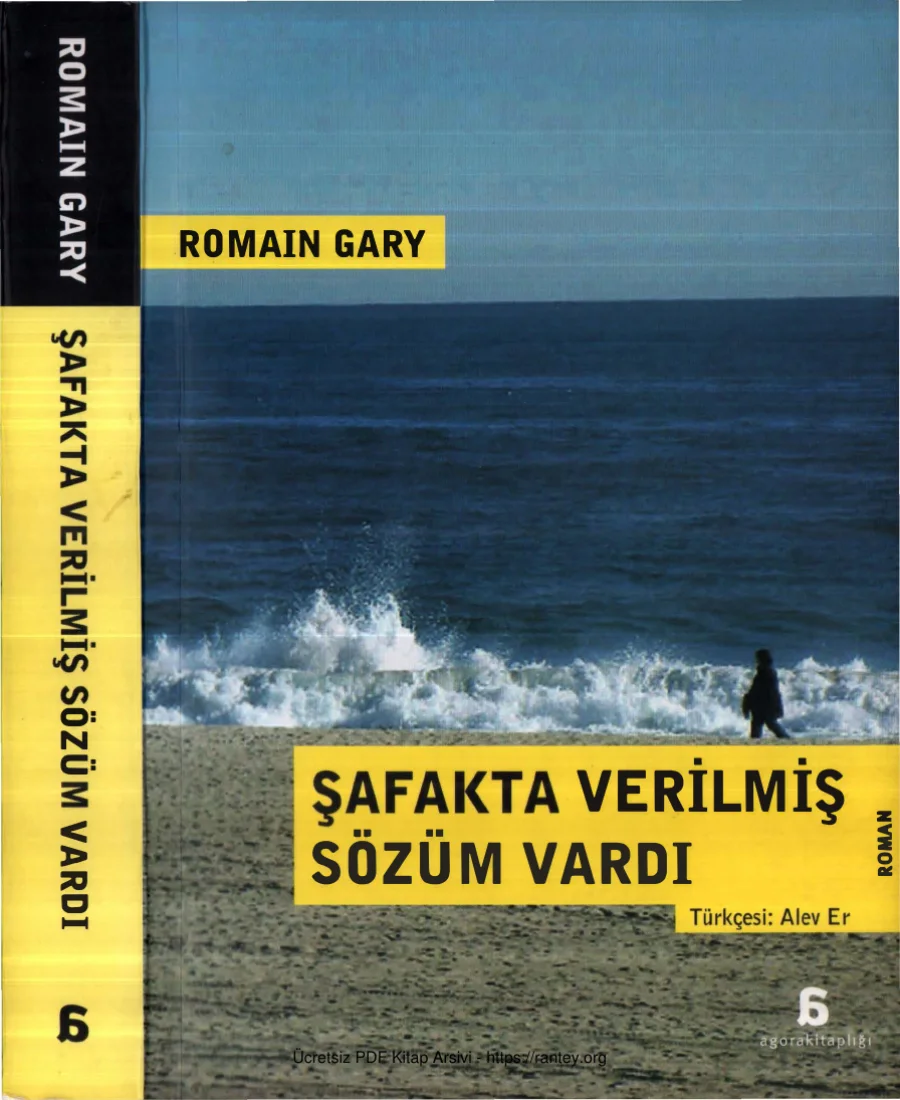 Şafakta Verilmiş Sözüm Vardı kapak görseli