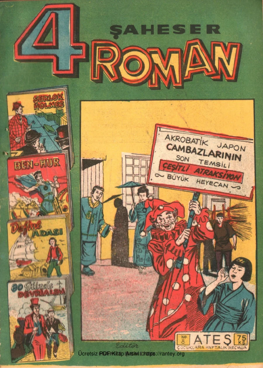 Şaheser Roman kapak görseli