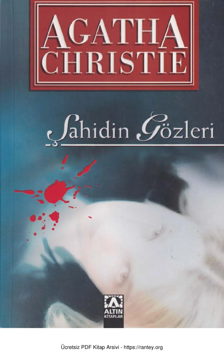 Şahidin Gözleri kapak görseli