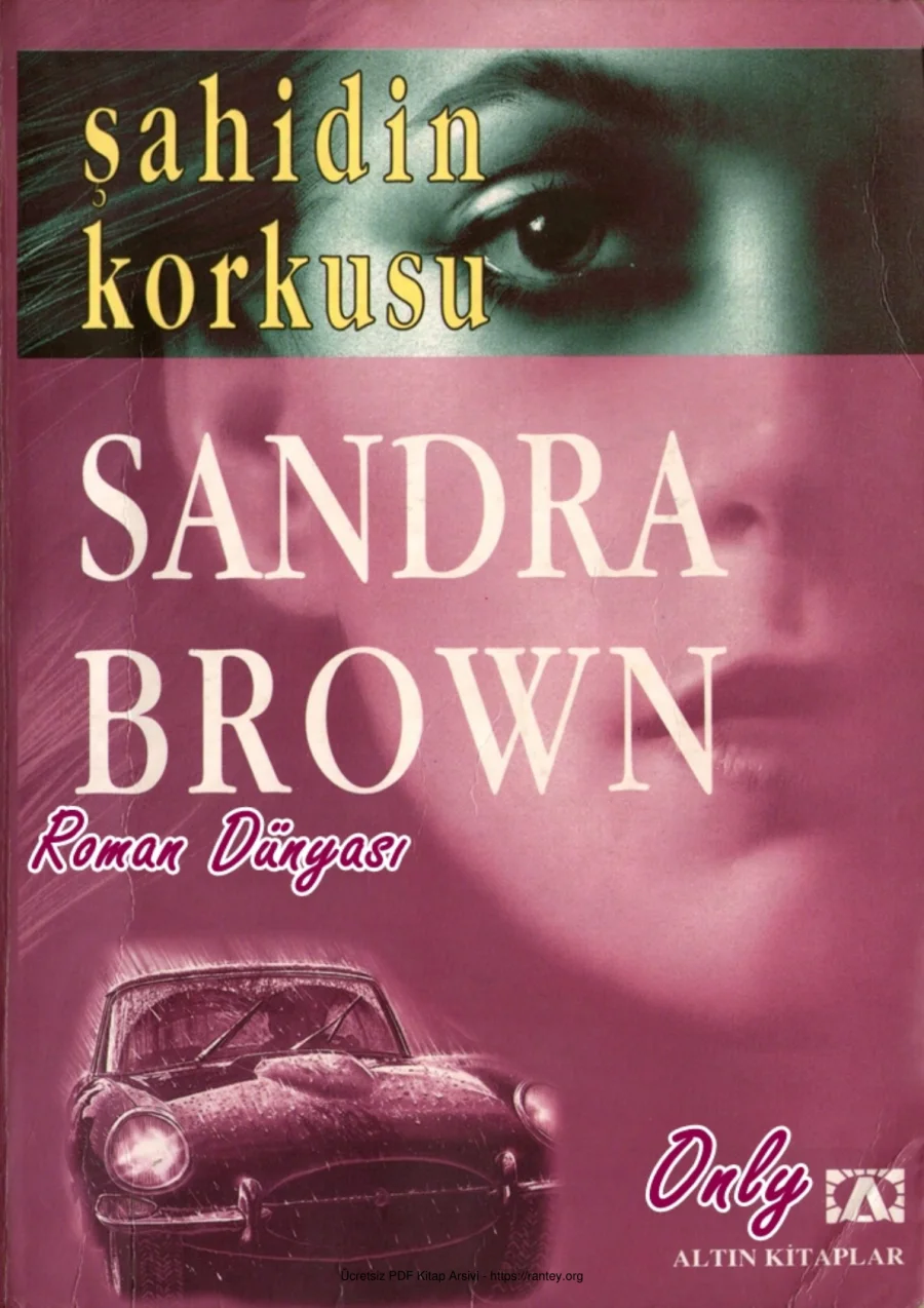 Şahidin Korkusu kapak görseli