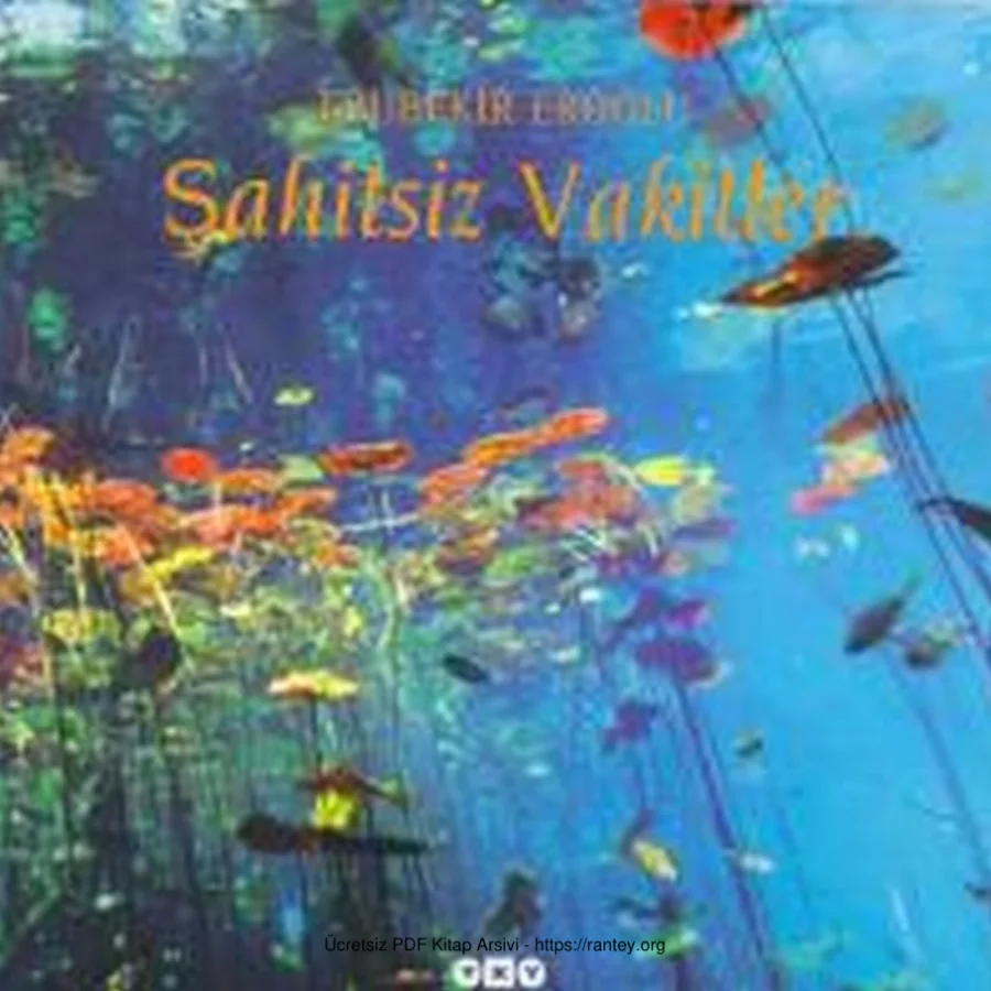Şahitsiz Vakitler kapak görseli
