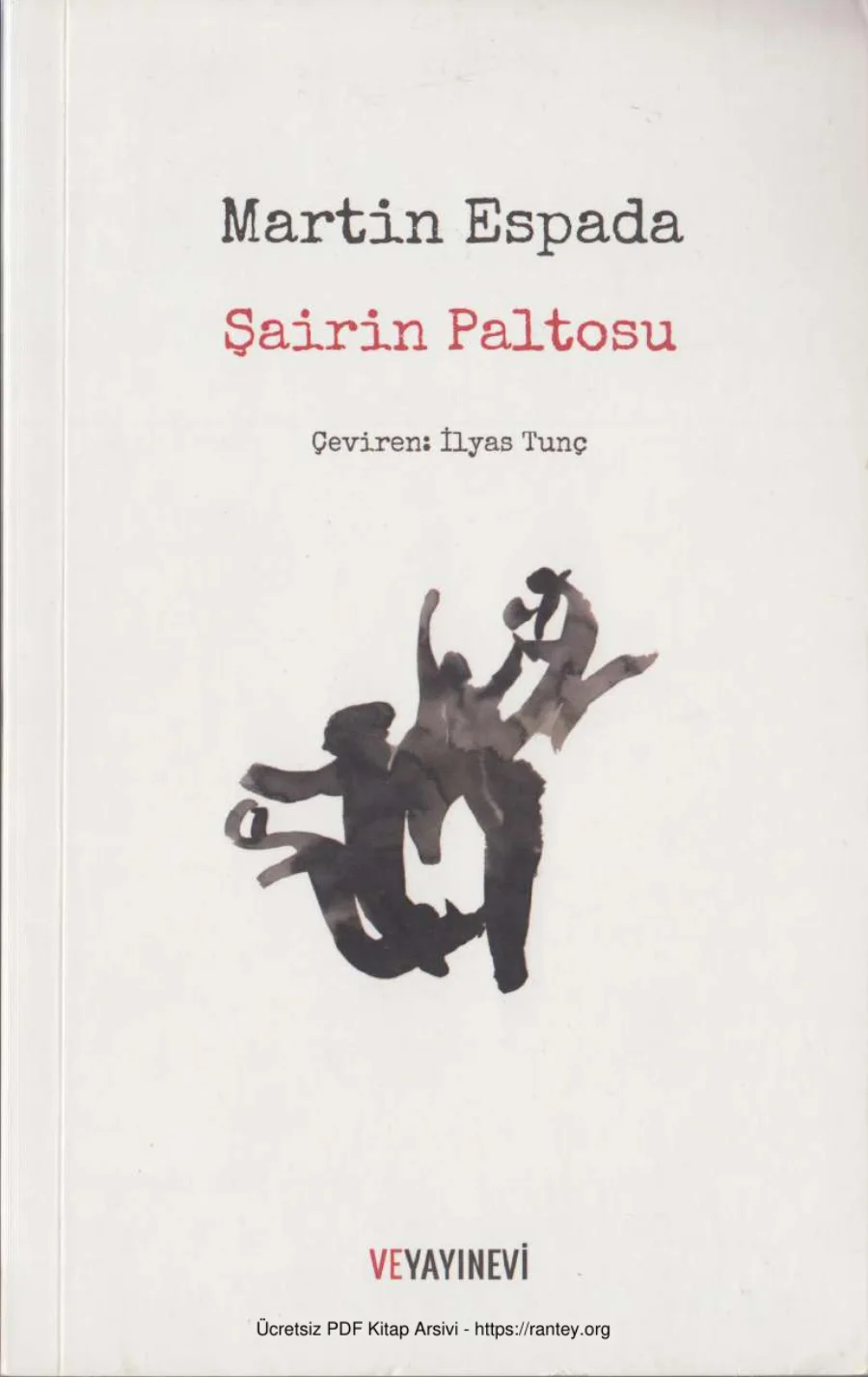 Şairin Paltosu Ve Yayınları kapak görseli