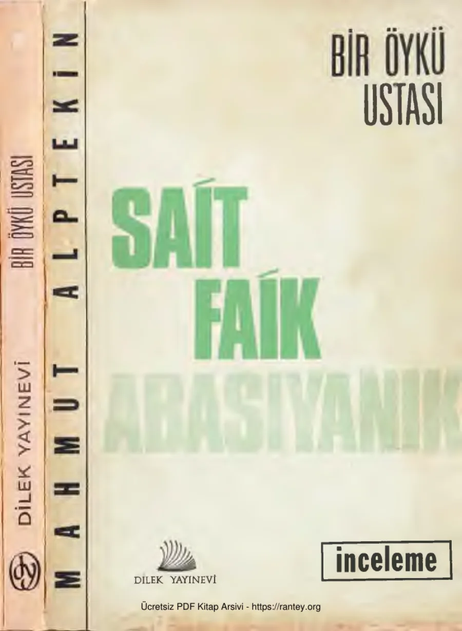 Sait Faik Abasıyanık Bir Öykü Ustası kapak görseli